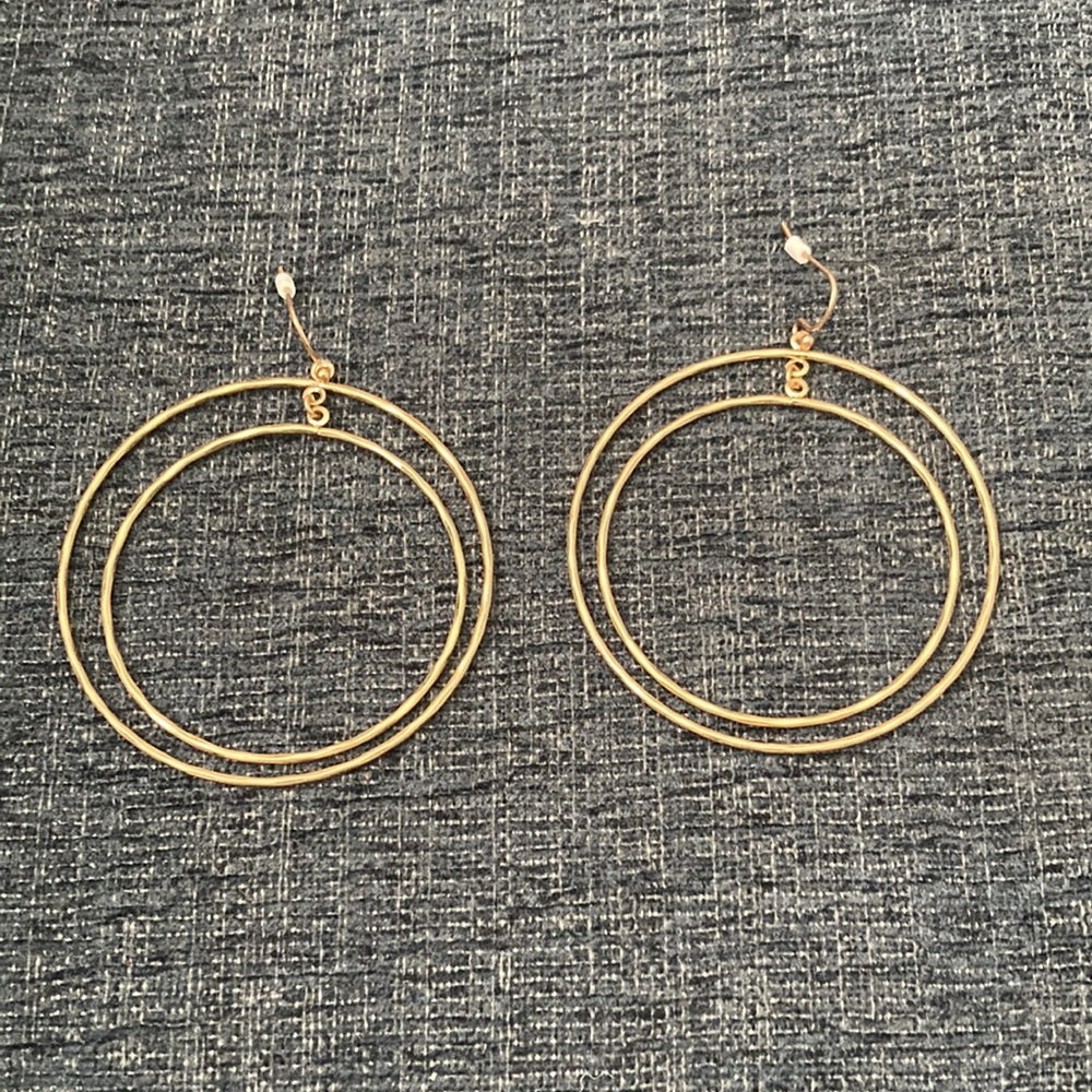 Earrings NWOT